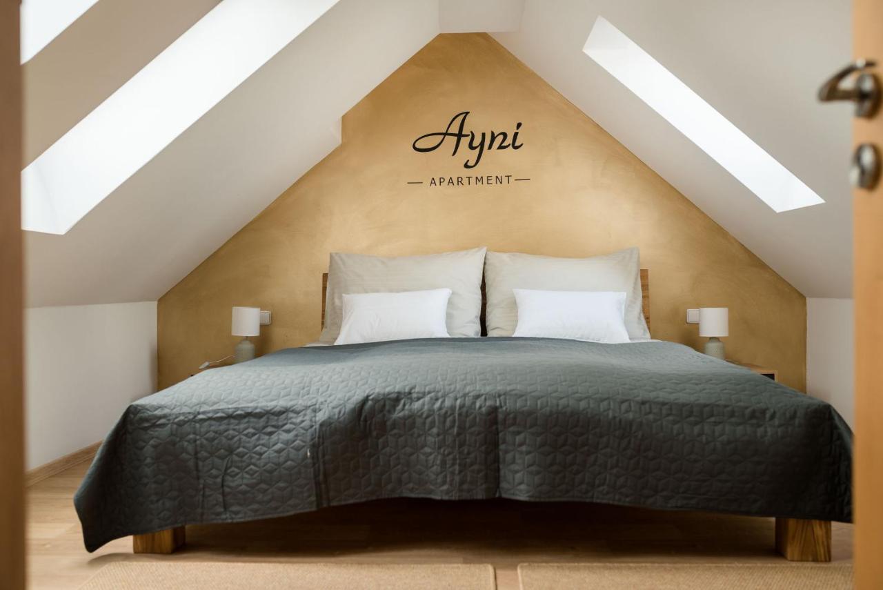 Ayni Apartman Semily Exterior photo